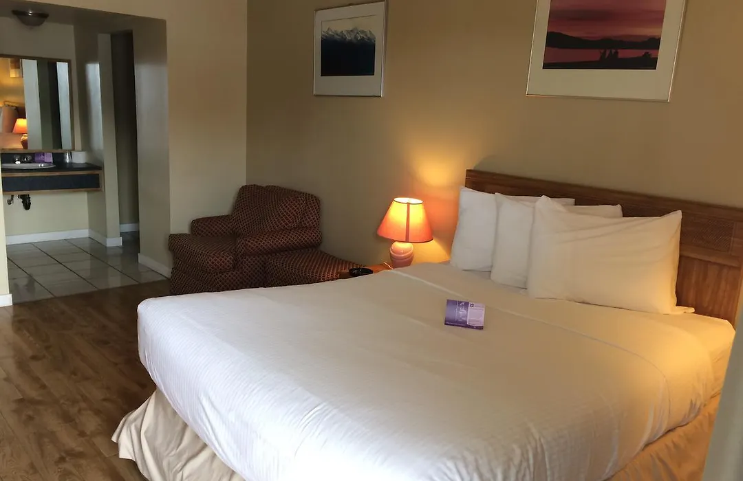 Nice Inn Edmonton-1